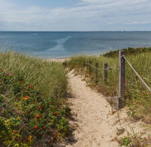 Sandy dune path leading to the sea in coastal landscape