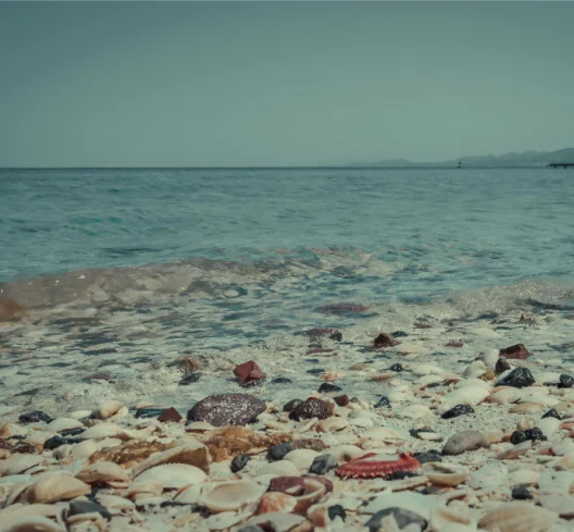 Clear turquoise sea over pebbled beach shoreline